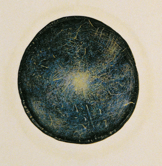 kava_w3.jpg (146457 octets)