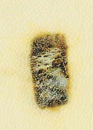 point-eau_w10.jpg (21183 octets)
