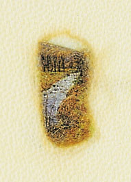 point-eau_w4.jpg (21942 octets)