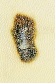 point-eau_w5.jpg (20902 octets)